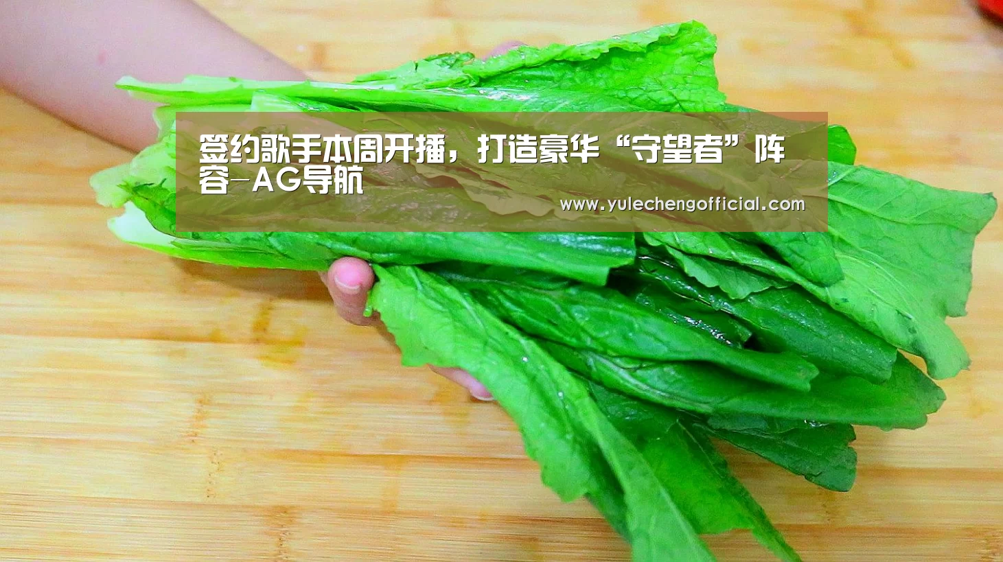 签约歌手本周开播,打造豪华“守望者”阵容-AG导航(图2) AG娱乐