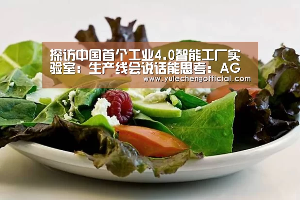探访中国首个工业4.0智能工厂实验室:生产线会说话能思考:AG专区(图1) AG娱乐城