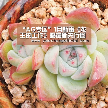 “AG专区”1月新番《龙王的工作》曝最新先行图 激萌小萝莉登场(图2) AG娱乐